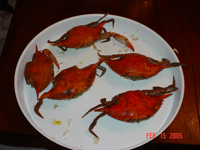 Platter of Yummy!