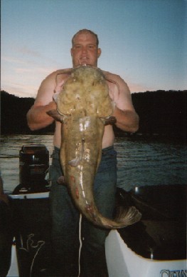 fish
