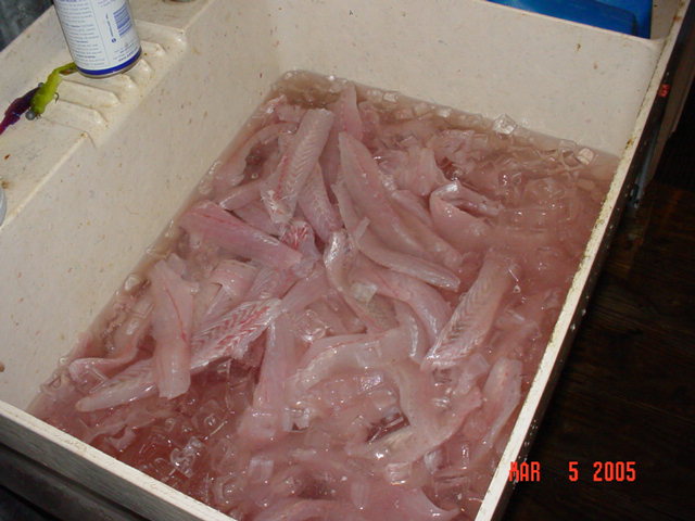 sink of fillets