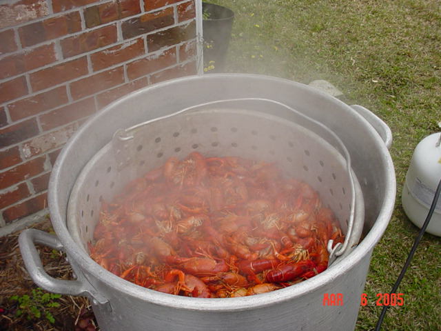 Dad's in a pot