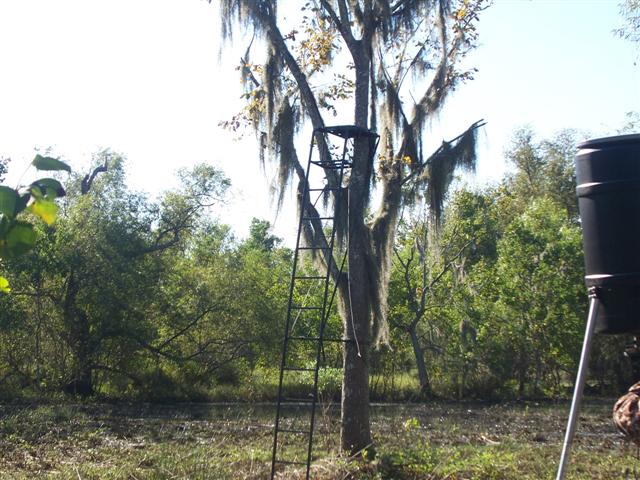Ladder stand sitting in