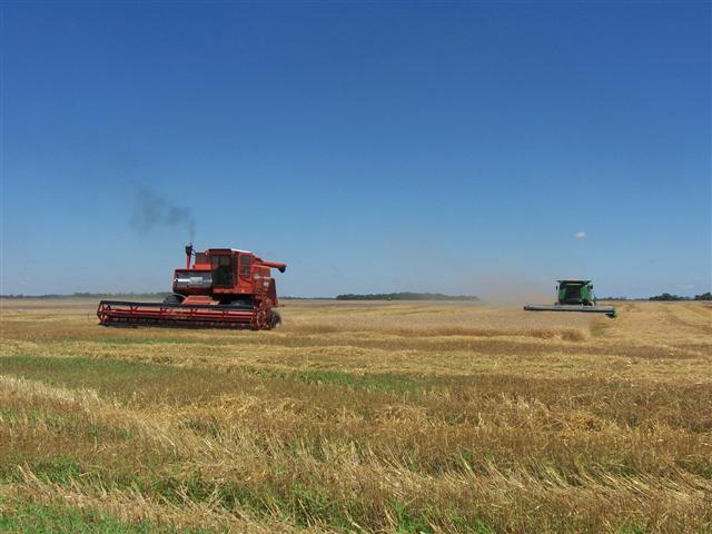 Combines side by side